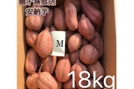 【絶品】大人気！安納芋 Mサイズ 18kg(箱別)