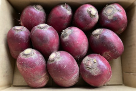 お買い得！中まで真っ赤な有機紅くるり大根２㎏