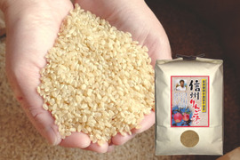 【新米】【玄米5kg】信州りんご米 こしひかり 令和5年産