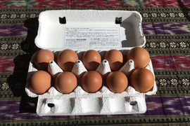 【加熱調理用】放し飼いの鶏が産んだ卵１０個入り