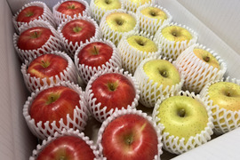 1月発送【ロマンシリーズ食べ比べ】奥州ロマン　藤原ロマン　5kg(20～23個)