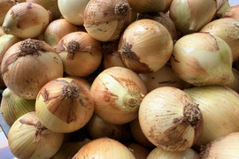 【訳あり・規格外】味はそのまま！形不揃い・小ぶりの玉ねぎ（10kg）※梱包込み