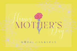 【母の日ギフト】【特別な人へ】新潟県南魚沼100％塩沢産　こしひかり   　2ｋｇ　【食べチョクアワード受賞✨】