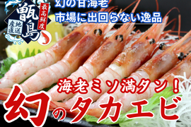 🦐一度で三度美味しい🦐プリプリ身質大トロの甘さ海老ミソ満タン『幻の生タカエビ』業界初パウダースノー冷凍で最高鮮度🐟20代女性漁師が手掛ける甑島ブランド【冬ギフト】【12月上旬発送】
