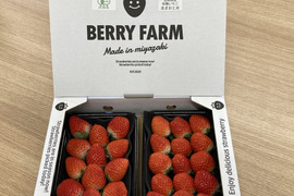 香り豊か！有機いちご「あまおとめ」500g