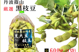 【令和8年黒枝豆・予約販売】丹波篠山 黒枝豆 600g( 1袋 )  産地直送 期間限定 贈答用にも最適 大粒 最高級 さや 枝豆 毎年完売 今しか味わえない 丹波篠山の黒枝豆 数量限定 丹波