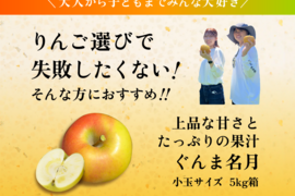 発送中！【このりんごを嫌いな人はいますか？？】名月 5キロ箱 小玉A品B品ミックス 商品ID86216 長野県 信州 安曇野 リンゴ 幻 幻のリンゴ 予約 希少 旬 甘い