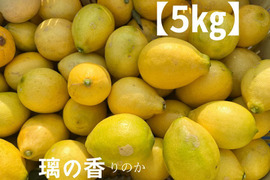 璃の香　訳なし！国産レモン　瀬戸内産　5㎏