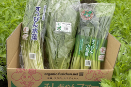 お試しセット！有機野菜3種3袋！有機JAS認定「すっぴん小松菜水菜ロメイン」セット(3袋)【冷蔵便】