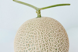 〈12/30〜1/3食べ頃〉【冬ギフト】ジューシーでスッキリとした甘さ！岡山県産マスクメロン(1玉)