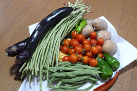 【野菜セットＳ】お試しサイズの露地野菜セット