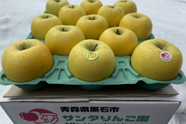 パリッと食感に溢れ出る果汁　青森県産　シナノゴールド　贈答用　約3キロ　残りわずか！
