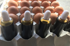 平飼い卵の卵黄油　滴下ボトル50ｃｃ入り