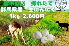 令和8年度　群馬県産　生ニンニク 有機肥料栽培　農薬化学薬品無使用　1kg