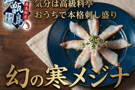【まるで高級料亭】幻のメジナ業界初パウダースノー冷凍で最高鮮度の本格刺し盛りがご自宅で心行くまでご堪能🐟20代女性漁師が手掛ける甑島ブランド【8月上旬予約】