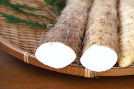 【掘りたてをお届け！】自然薯500g（カットしたものを真空パック）風味粘り格別 鳥取県琴浦町