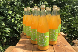 【お得な12本セット♪】陽だまりファーム  三ヶ日青島みかんジュース ストレート100％（720ml×12本）