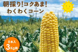 わくわくコーン8本 スイートコーン とうもろこし 7月26日から収穫分 予約 3キロ箱使用 商品ID96585