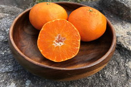 農薬不使用　甘平（かんぺい）　5㎏