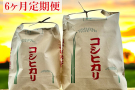【令和7年新米】定期便 （4.5kg×6ヶ月）先行予約受付中 兵庫県丹波篠山産 2025年度 新米 コシヒカリ こしひかり 5㎏ 数量限定 お米 米 兵庫県