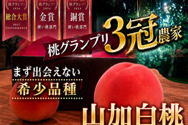 🎊全国桃グランプリ3冠小野桃園ブランド🎊まず出逢えない気品高い山加白桃🍑一流レストラン御用達約1キロお試しキャンペーン【朝どれ】【夏ギフト】7月下旬予約