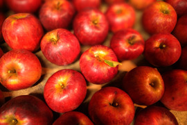 【10箱限定】南信州産　皮ごと安心！林檎屋の「紅玉」りんご (３kg箱)
