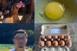 【春限定セール中！】のびのび育った平飼い有精卵 50個セット（10個×5パック）国産飼料メイン・井戸水で育った黒い鶏の卵（非GMO）臭みなし｜栃木県佐野市