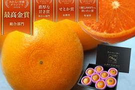 🏆みかん柑橘グランプリ2026最高金賞含む最多４部門受賞の木熟せとか！大感動！樹上完熟させた濃厚な甘みの大トロせとか！とろける甘さと上品な味わい！「木熟せとか」厳選プレミアム　約１ｋｇ【400】