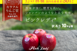 【ヒルナンデスでました！】ピンクレディ®︎ 10キロ訳あり品 加工用にご利用ください！長野県 信州 安曇野 リンゴ 幻 幻のリンゴ 予約 希少 旬 ID62476 ピンクレディー