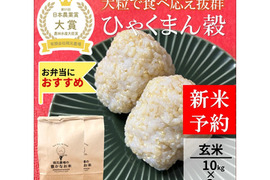 日本農業賞大賞受賞 令和８年産ひゃくまん穀10kg×2袋玄米