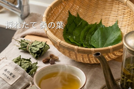 桑の葉（生葉）採れたて🌿自然栽培🌿30枚🌿農薬、化学肥料、動物性肥料不使用の土壌で育てた桑の葉☆植物の中でも珍しい成分1-デオキシノジリマイシンが食事の糖質分解を抑え食後の血糖値上昇を抑える効果