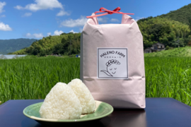 【新米】無洗米 10㎏ 希少米　つきあかり　栽培期間化学肥料不使用