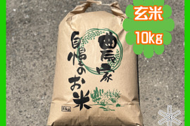 🌾※令和7年新米※高知産コシヒカリ　玄米　10kg