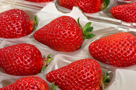 【贈答用】あまおう 400g 甘くて濃い 大粒いちご ゆりかごパック