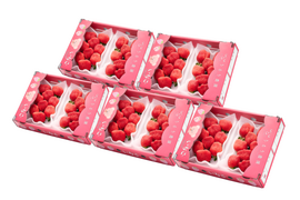 【予約販売 2026年11月下旬～順次発送】🍓あまおう苺 サイズ色々❤️270ｇ×10パック！
