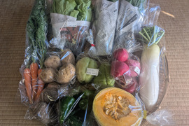 ☆自然栽培100サイズ☆【4-5人前】（9~10品）季節折々の野菜Lセット【群馬県高崎産】