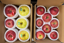 🍎おうちで食べたい🍎もぎたてジューシー◆甘さが違う！葉とらず入り品種ミックス🍎お家用３キロ