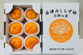 会津みしらず柿（種なし）　約1.5kg 3Lサイズ(5〜6玉入)