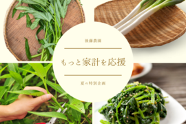新鮮でおいしい食費節約ネギS～２L（2.5㎏）エンサイ(200ｇ×２）