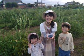 化学肥料・農薬不使用！　生果ブルーベリー１ｋｇ