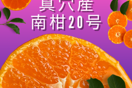 【オープン記念セール！】真穴産 温州みかん 南柑20号 サイズ混合 S～2Lサイズ 3kg  数量限定（サイズ指定不可）
まあな