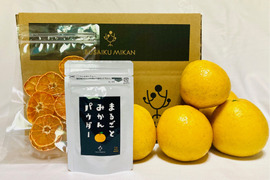 【初回限定BOX】「みかん尽くし」右田柑橘のみかんお試しセット(河内晩柑1.5kg・温州ドライみかん20g・まるごとみかんパウダー30g)