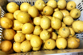 広島県産フレッシュ！春レモン《約25〜30個入》
