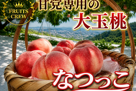 【強い甘みの大玉硬質桃 なつっこ】本場山梨の品種指定キャンペーン🍑酸味控えめで濃甘☆人気急上昇✨お試し約1㎏🍑7月中旬～発送🍑