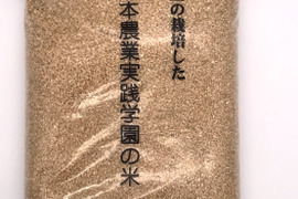 農業学校の学生と作ったコシヒカリ【古米】玄米10kg　令和２年産