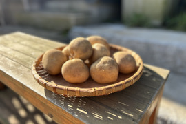 AI北海道産　訳ありきたかむい 40キロ 北かむい訳ありじゃがいもと正規品【送料無料】 | 北海道旬直