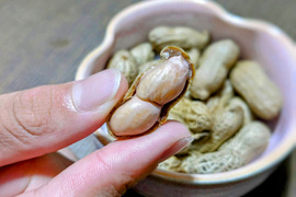 【期間限定】🥜生落花生🥜秋の美味しいを堪能😋(1kg)化学農薬・化学肥料・動物性堆肥不使用