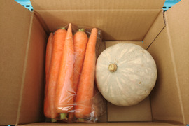 【野菜2種セット】　彩誉ニンジン 1kg　×　白爵かぼちゃ 1個（600g）