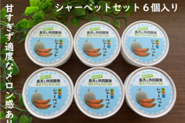 【訳あり】しまね夢メロン(低カリウムメロン)【赤肉】を使用したシャーベットセット(6個入り)
