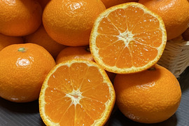 輝みかん☆石地☆ご家庭用☆混合☆5kg